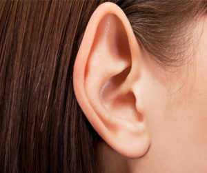 oreille_elfe